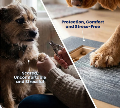 ScratchPaws- Say Goodbye to Grooming Stress & Bleeding Nails Forever! 🐾