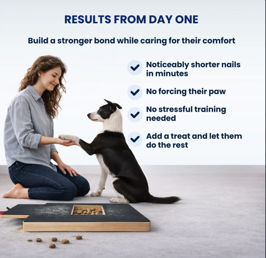 ScratchPaws- Say Goodbye to Grooming Stress & Bleeding Nails Forever! 🐾