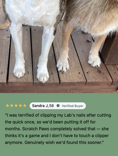 ScratchPaws- Say Goodbye to Grooming Stress & Bleeding Nails Forever! 🐾